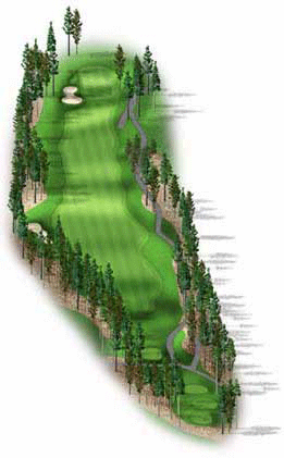 Hole 17 Hole 17 graphic