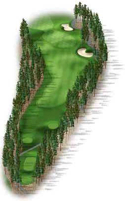 Hole 8 Hole 8 graphic