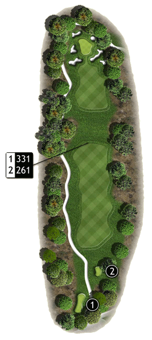 Hole 10 graphic