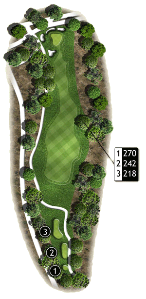 Hole 11 graphic