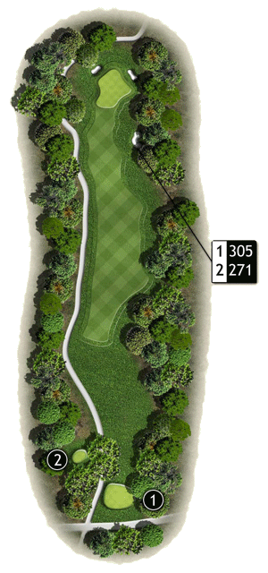 Hole 15 Hole 15 graphic