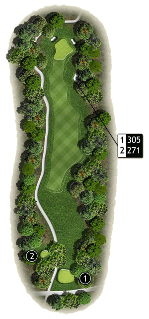 Hole 15 graphic