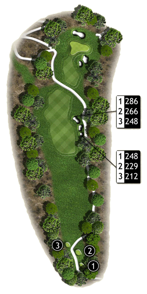 Hole 5 graphic