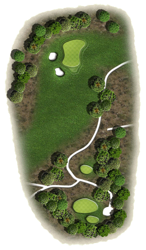 Hole 8 graphic