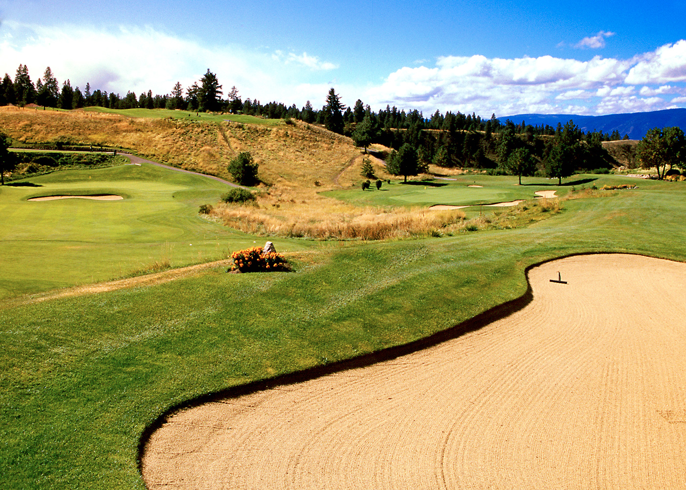 Pinnacle Executive Course at Gallagher's Canyon Kelowna Golf Courses
