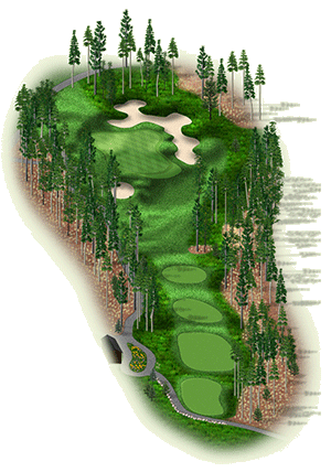 Hole 11 graphic