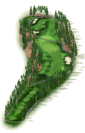 Hole 8 graphic